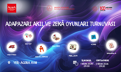 AKIL VE ZEKA OYUNLARI